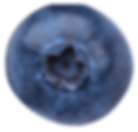 Blaubeere